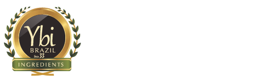 Logo YBI Brazil (fundo escuro)