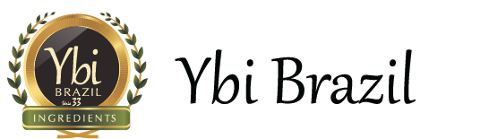 Logo YBI Brazil