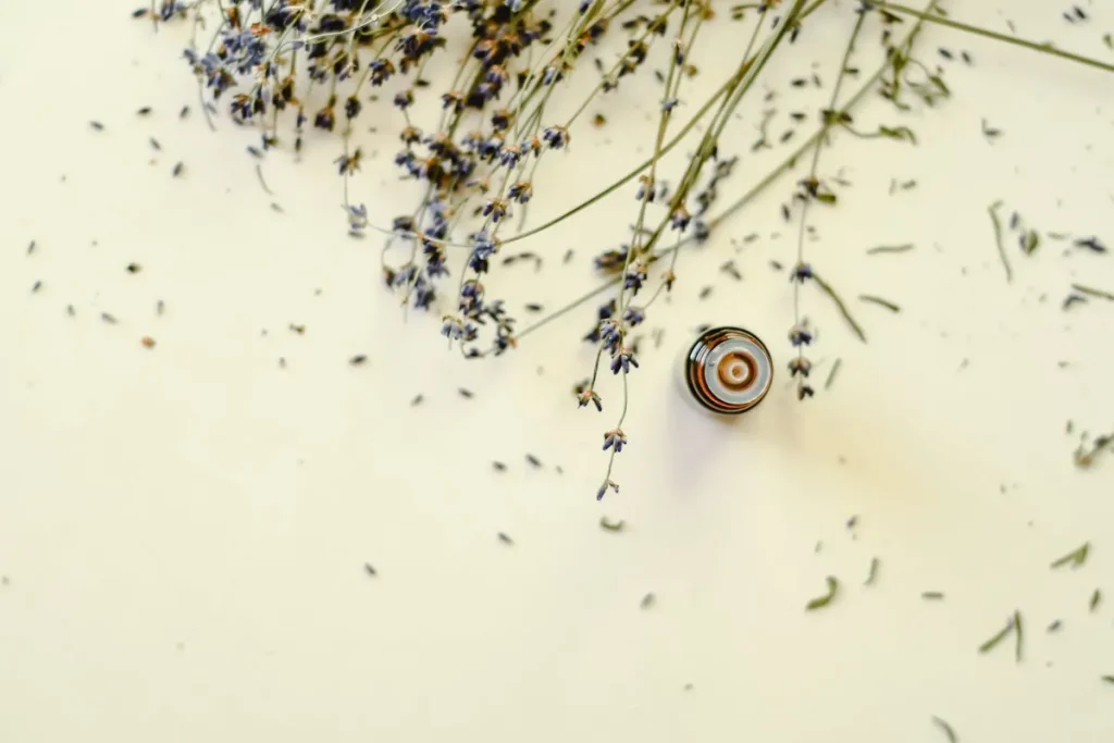 Top view of dried lavender flowers and essential oil bottle, perfect for aromatherapy themes.