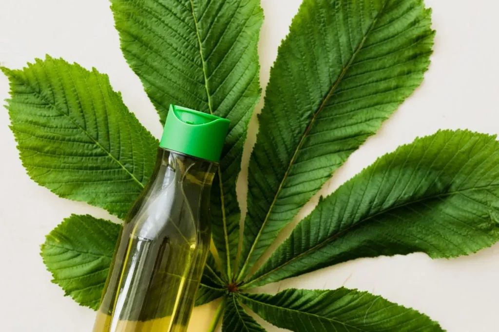 Qual o melhor óleo vegetal para o cabelo?