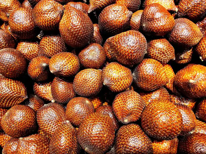 Óleo de buriti para pele: como usar e quais os benefícios?