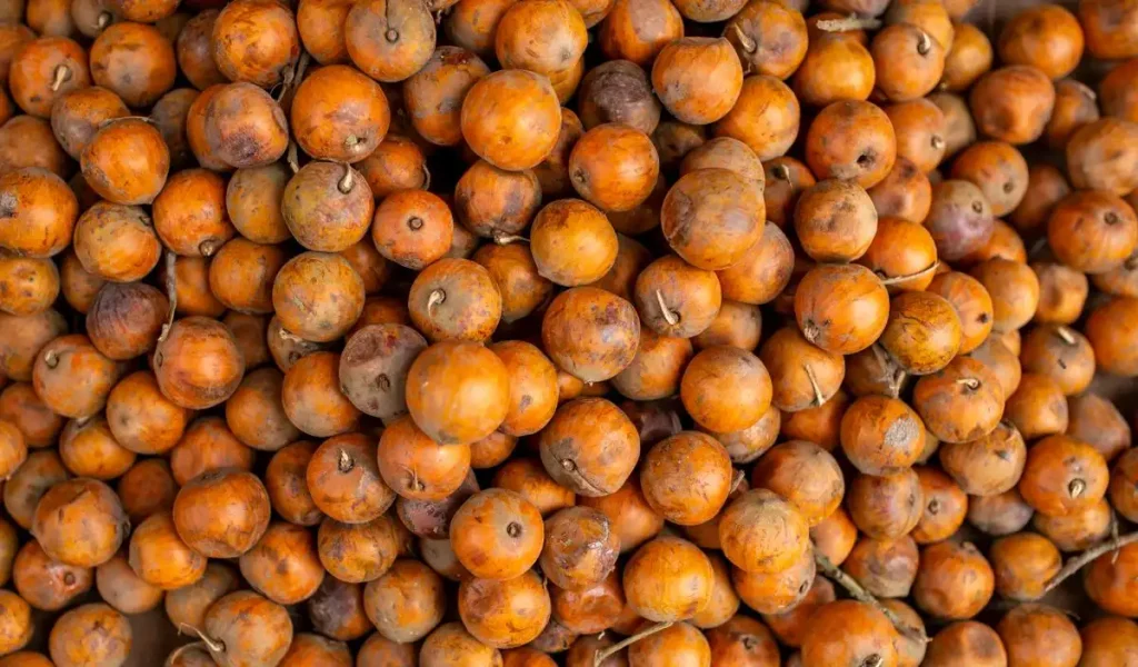 Óleo de tucumã: para que serve e como usar?