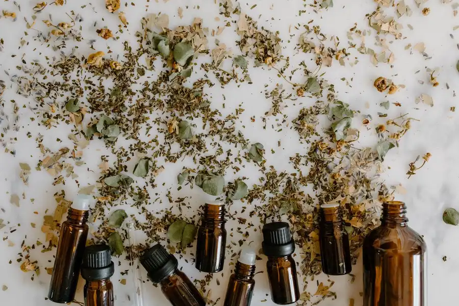Óleo essencial de melaleuca: para que serve e como usar?